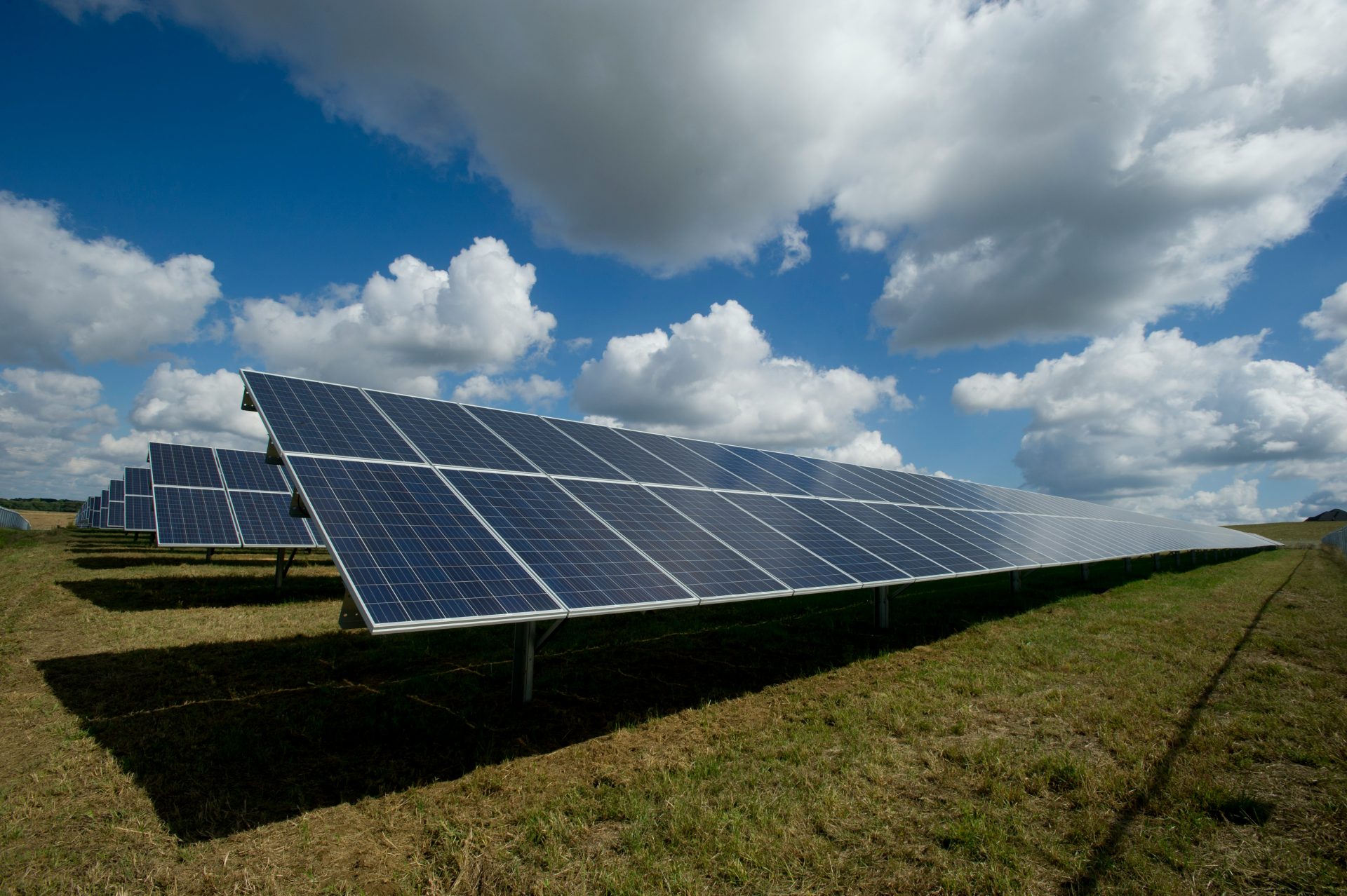 paneles solares en campo verde
